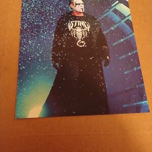 Wrestling Wall Art Poster - Blue and Black